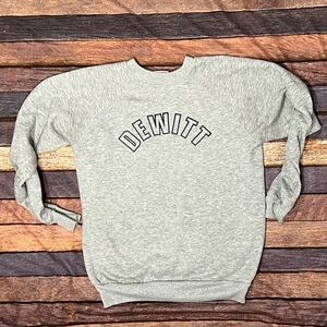 Vintage 1980s Dewitt Crewneck Velva Sheen Gray Crewneck 80s Sweatshirt